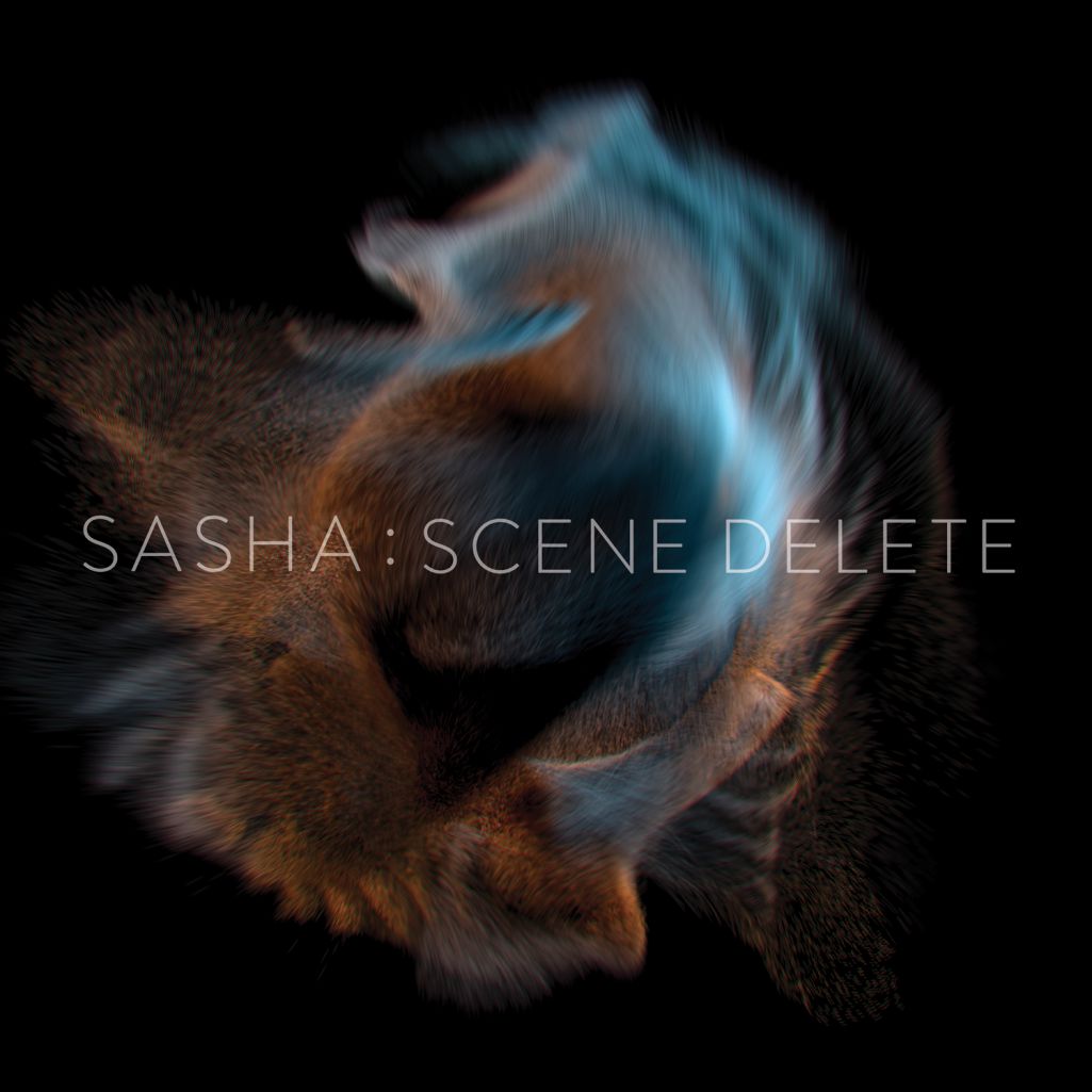 Sasha – Scene Delete