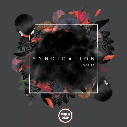 Syndication Vol 17