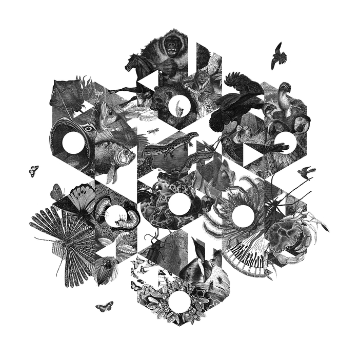 Kaleido Various Artists, Vol. 2