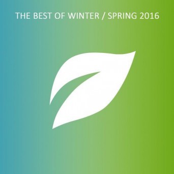 Spring Tube: The Best Of Winter/Spring 2016