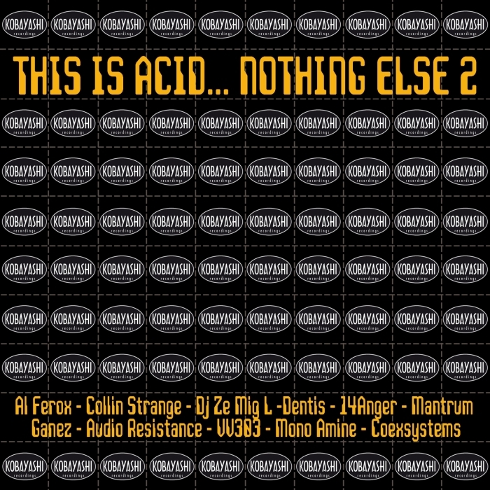 This Is Acid… Nothing Else 2