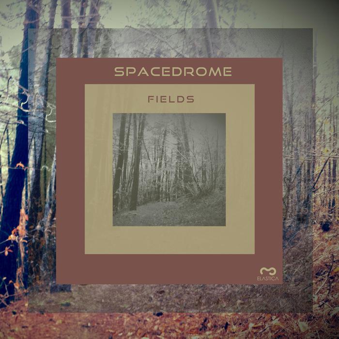 Spacedrome – Fields