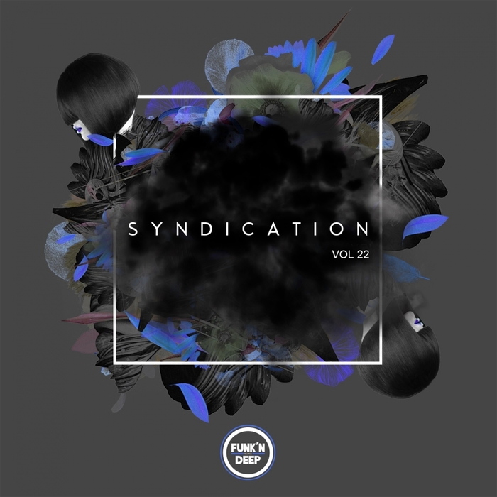 Syndication Vol 22