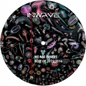 We Are Inwave Best Of 2015/2016
