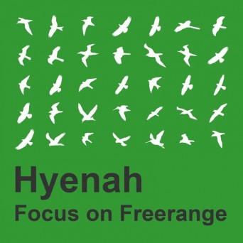 Hyenah – Focus On Freerange