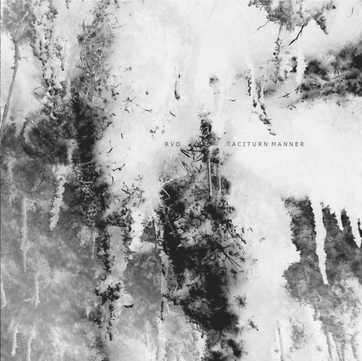 Reggy van Oers – Taciturn Manner
