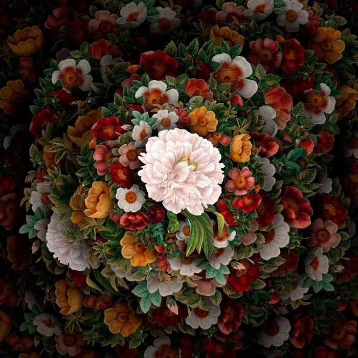 Ferrein – Valentine