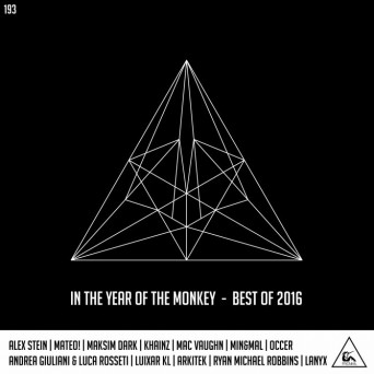 Fierce Animal Recordings – In The Year Of The Monkey – Best Of 2016