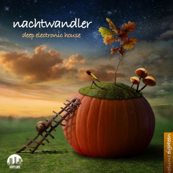 Nachtwandler, Vol. 17 – Deep Electronic House