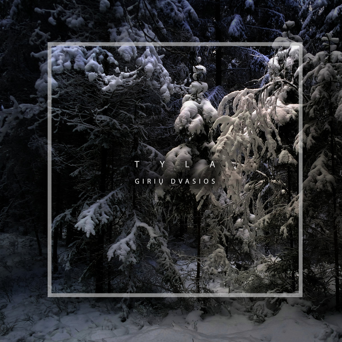 Giriu Dvasios – Tyla