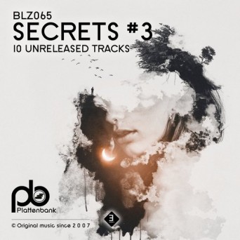 Plattenbank: Secrets # 3