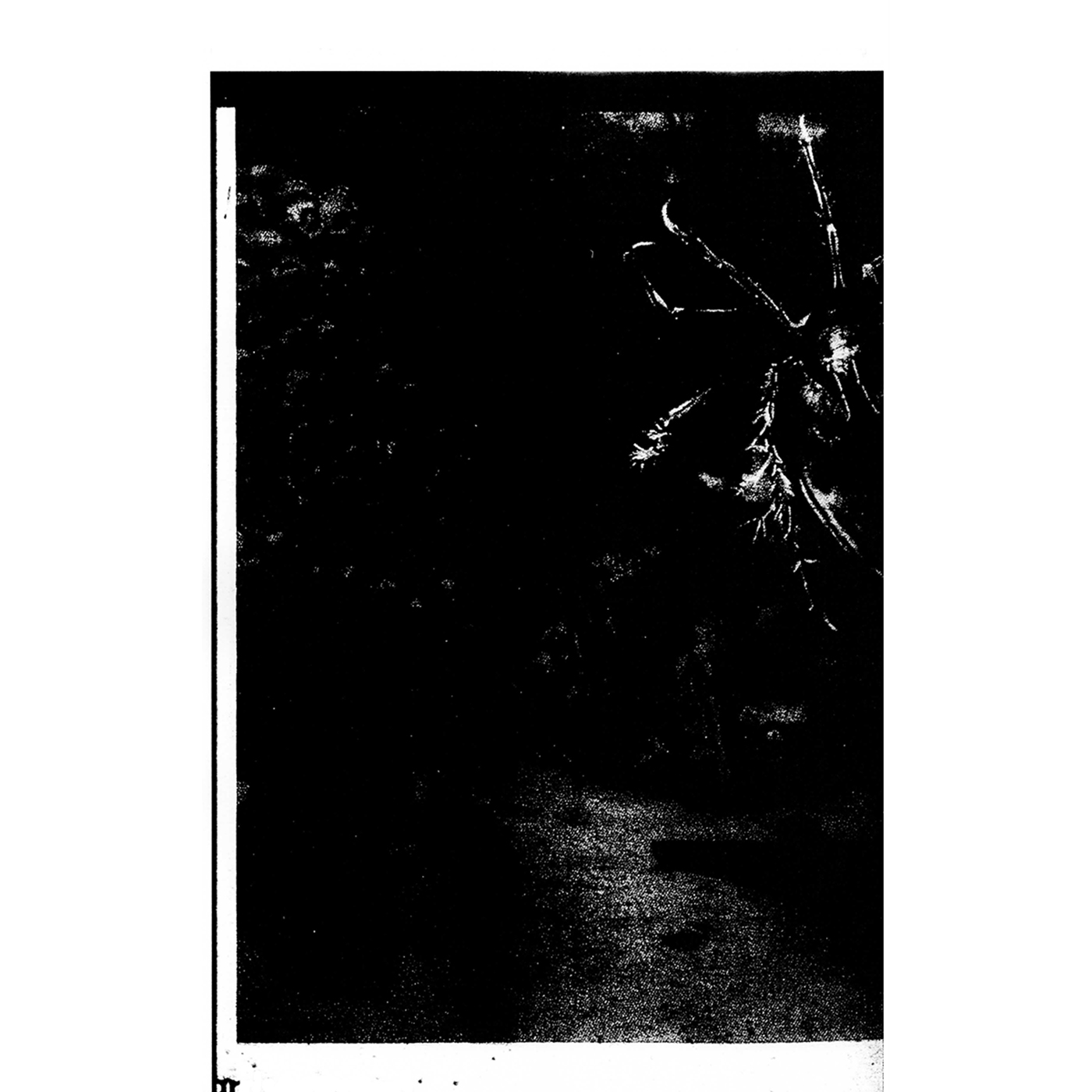 Moss Harvest – Vitrines