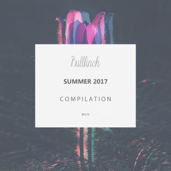 Bullfinch Summer Compilation 2017