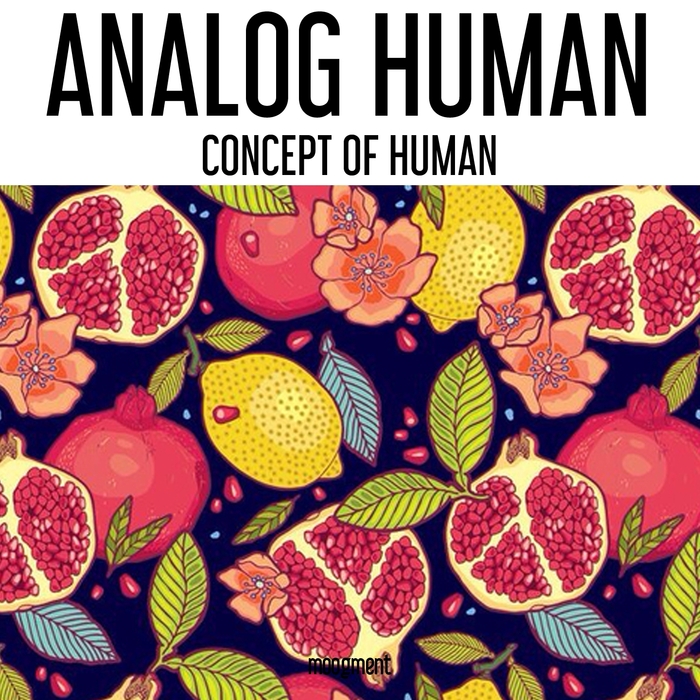 Analog Human – Concept Of Human