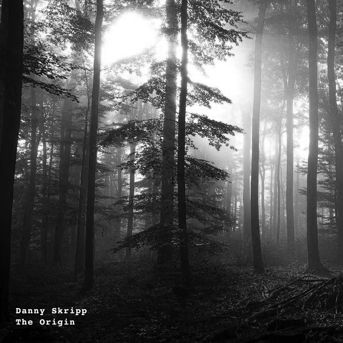 Danny Skripp – The Origin