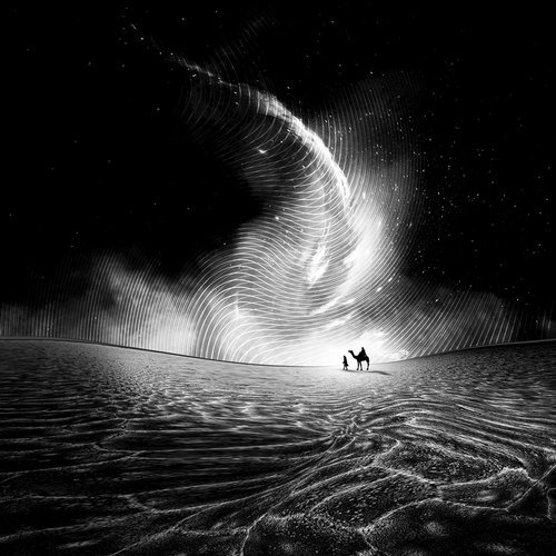 Laroz Camel Rider – Magnetic Dreams