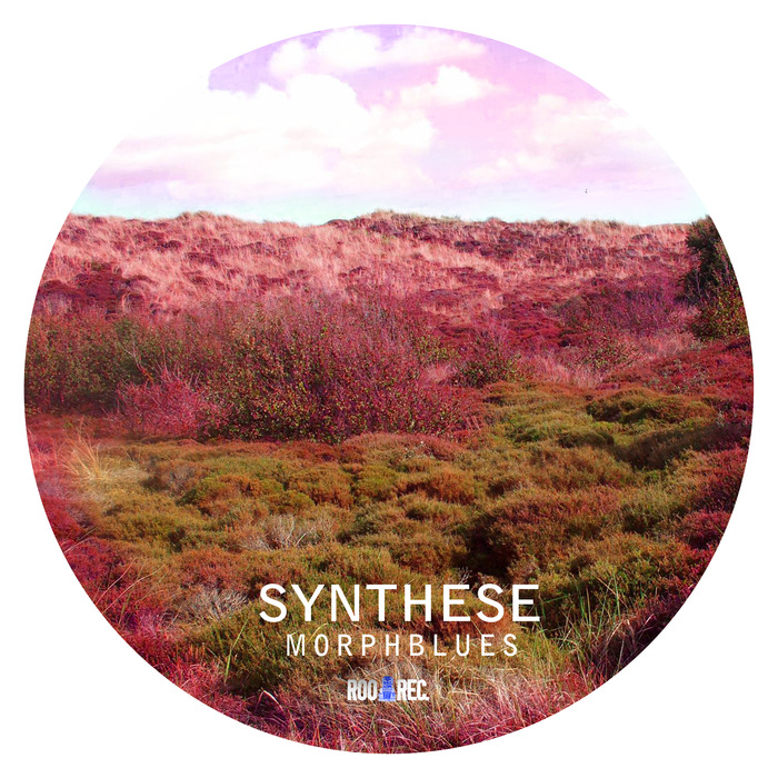 Synthese – Morphblues