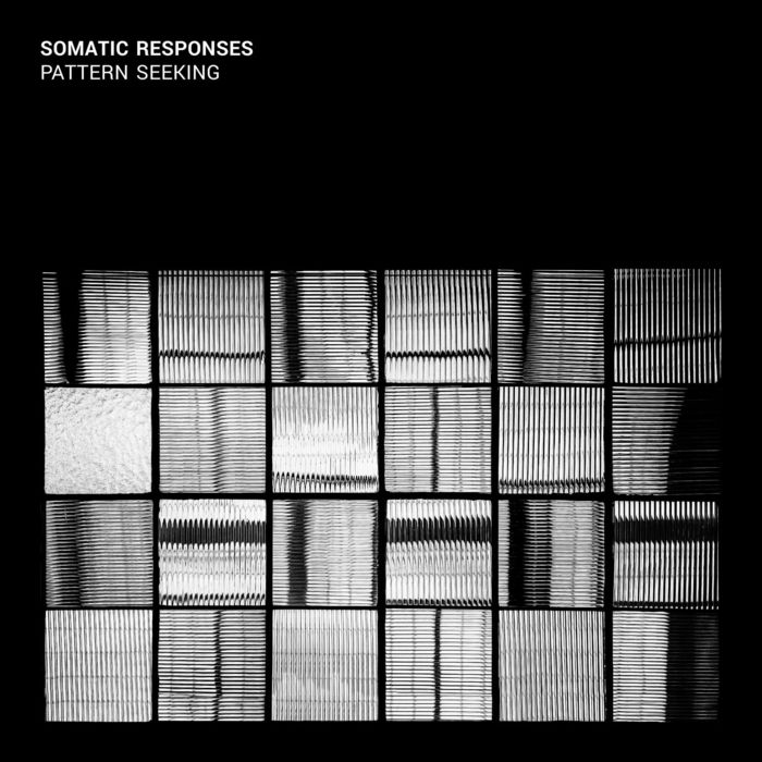 Somatic Responses – Pattern Seeking