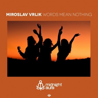 Miroslav Vrlik – Words Mean Nothing