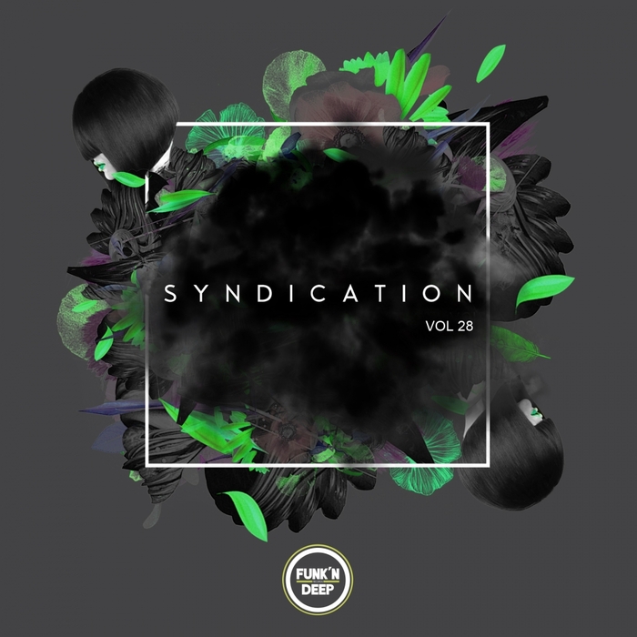 Syndication Vol. 28