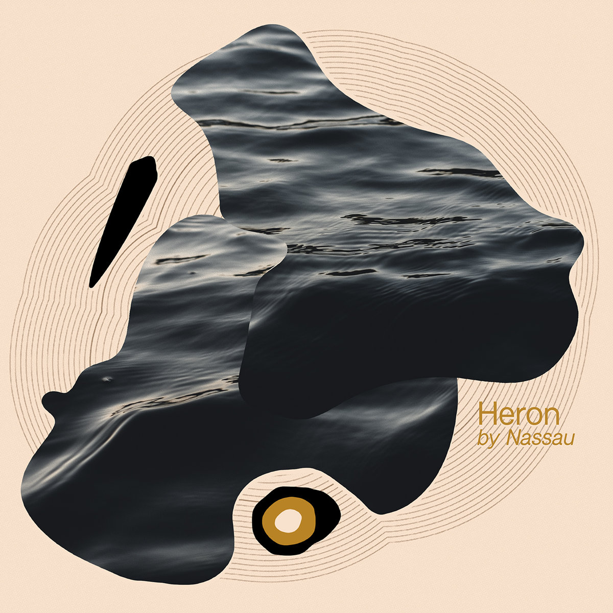 Nassau – Heron
