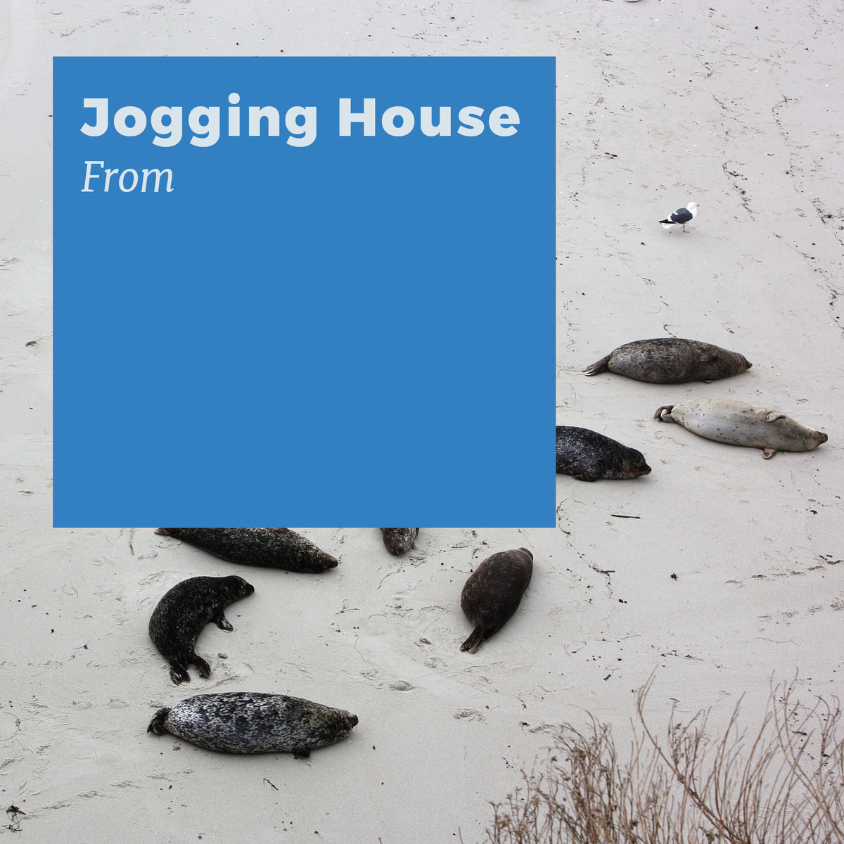Jogging House – From