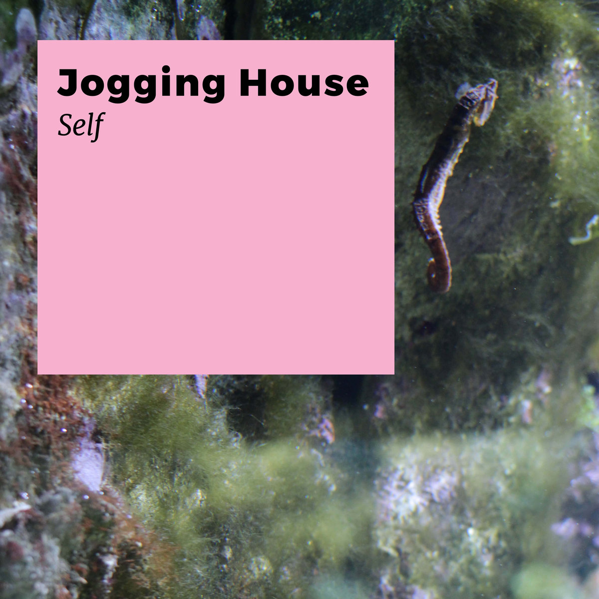 Jogging House – Self