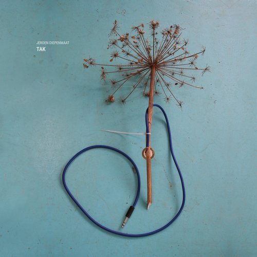 Jeroen Diepenmaat – Tak