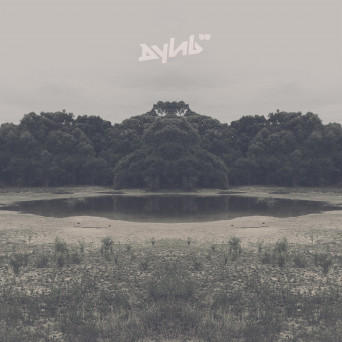 Dylab – A King Without A Castle