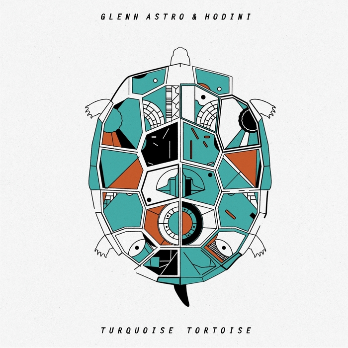 Glenn Astro – Turquoise Tortoise