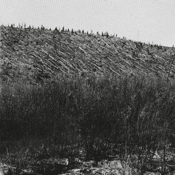 Pina – Lärm