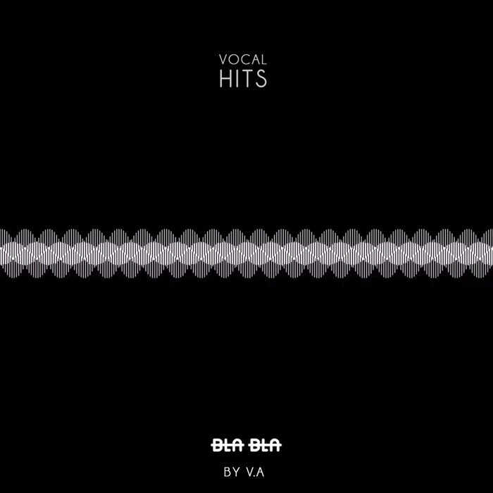 VA – Vocal Hits