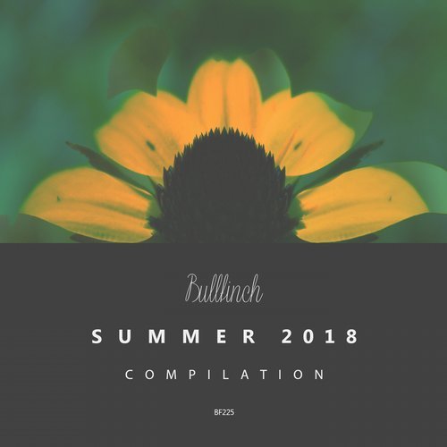 VA – Bullfinch Summer Compilation 2018