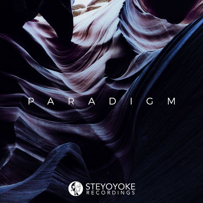 VA – Steyoyoke Paradigm, Vol. 03