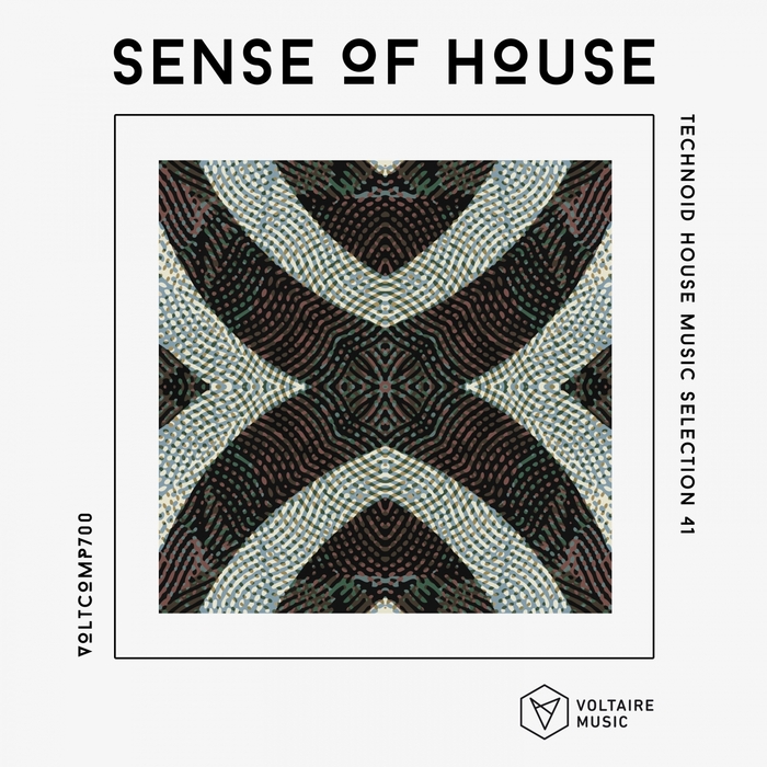 VA – Sense Of House, Vol. 41