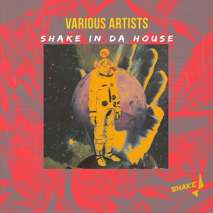 VA – Shake In Da House