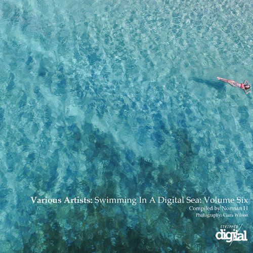 VA – Swimming in a Digital Sea: Volume Six