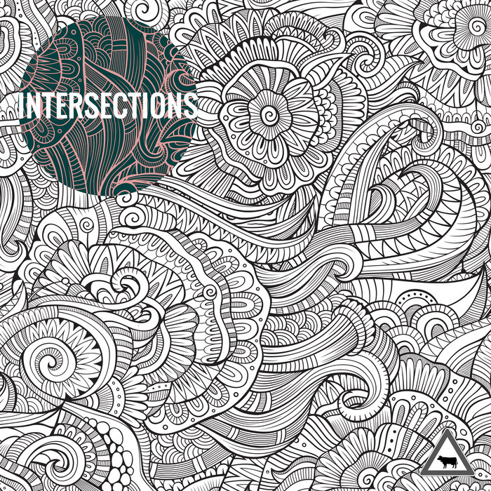 VA – Intersections