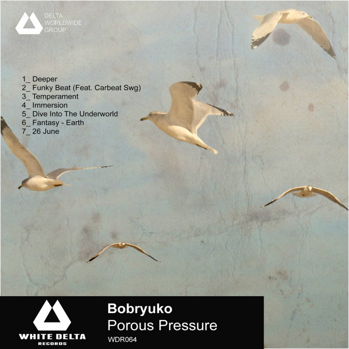 BOBRYUKO – Porous Pressure