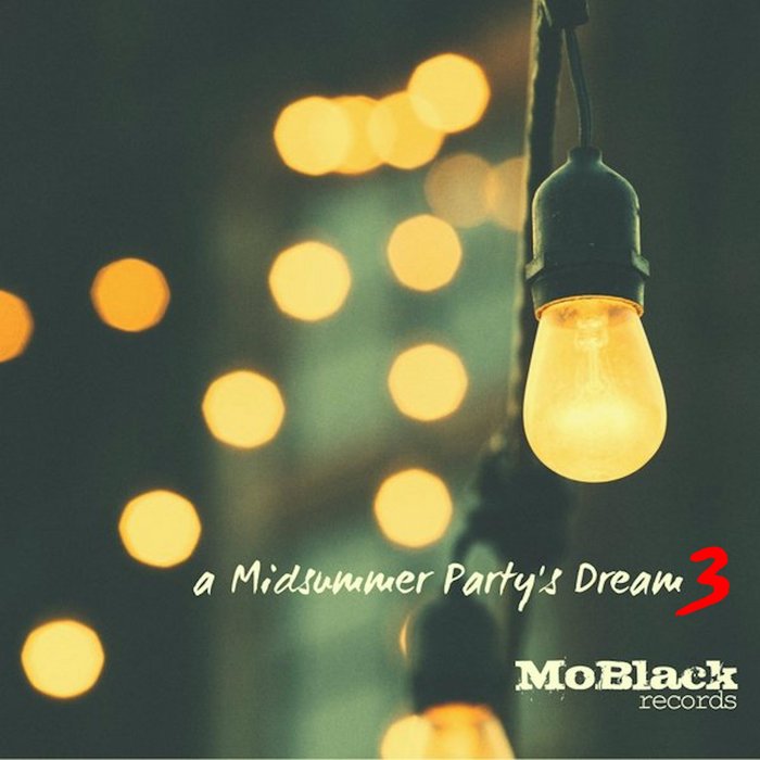 VA – A Midsummer Party’s Dream Vol 3 (30 Afro/Dance/House Hits For Your Party)