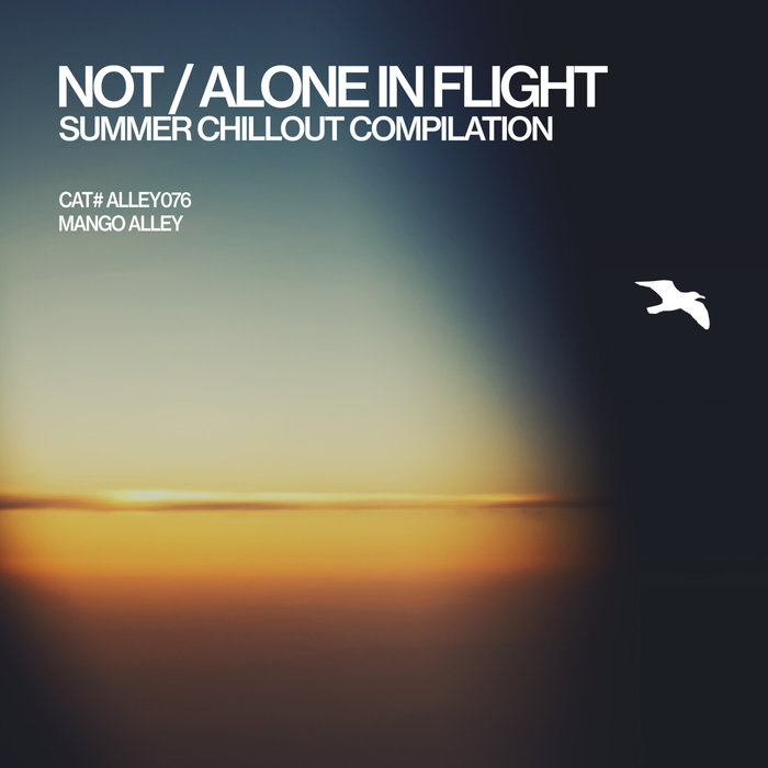 VA – Not/Alone in Flight