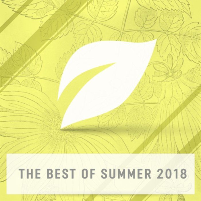 VA – The Best Of Summer 2018