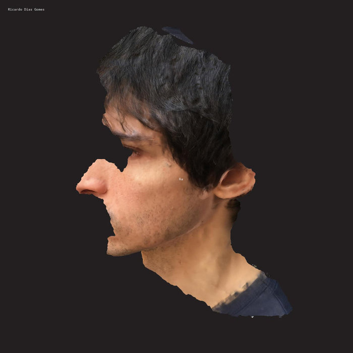 Ricardo Dias Gomes – Aa