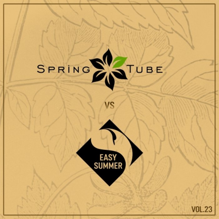 VA – Spring Tube vs. Easy Summer Vol.23
