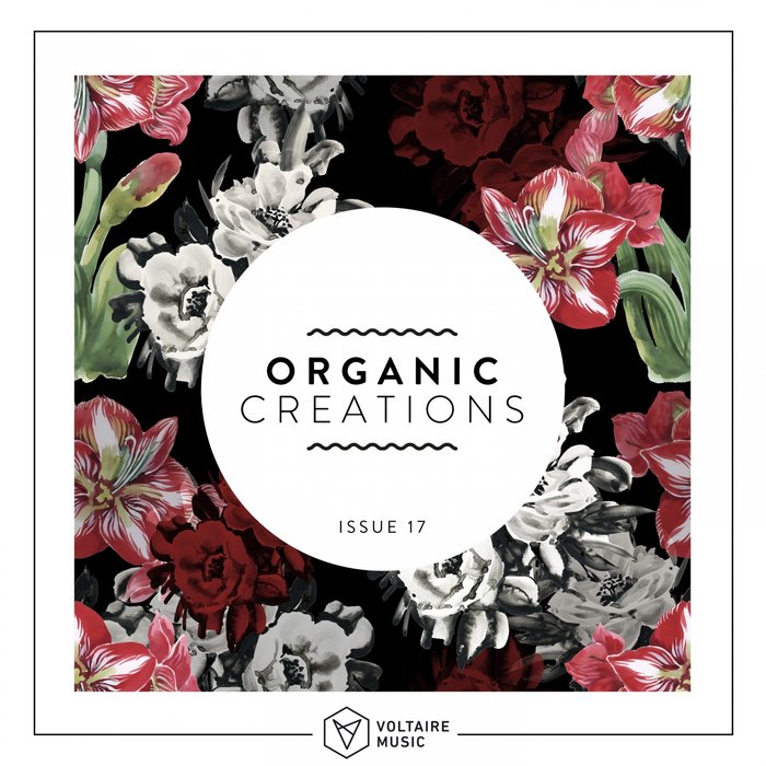 VA – Organic Creations Issue 17