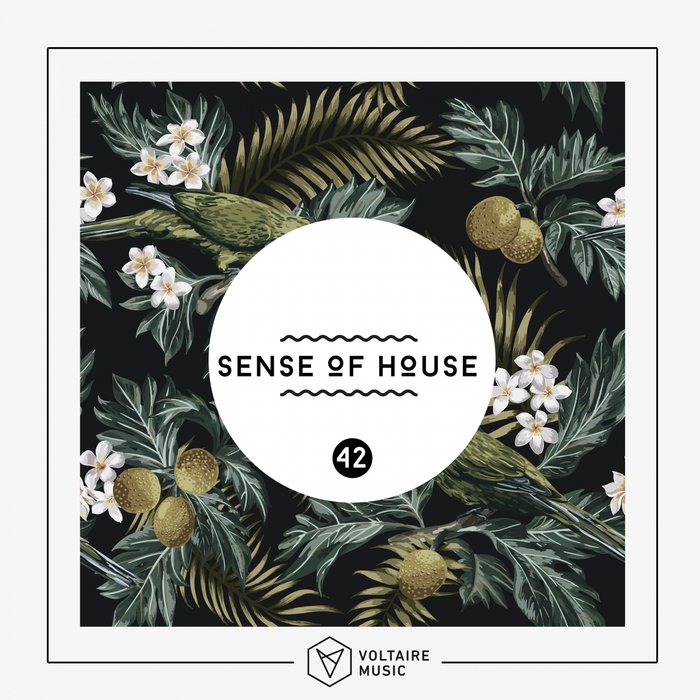 VA – Sense Of House, Vol. 42