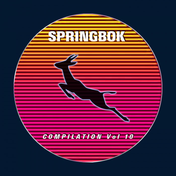 VA – Springbok Compilation Vol 10