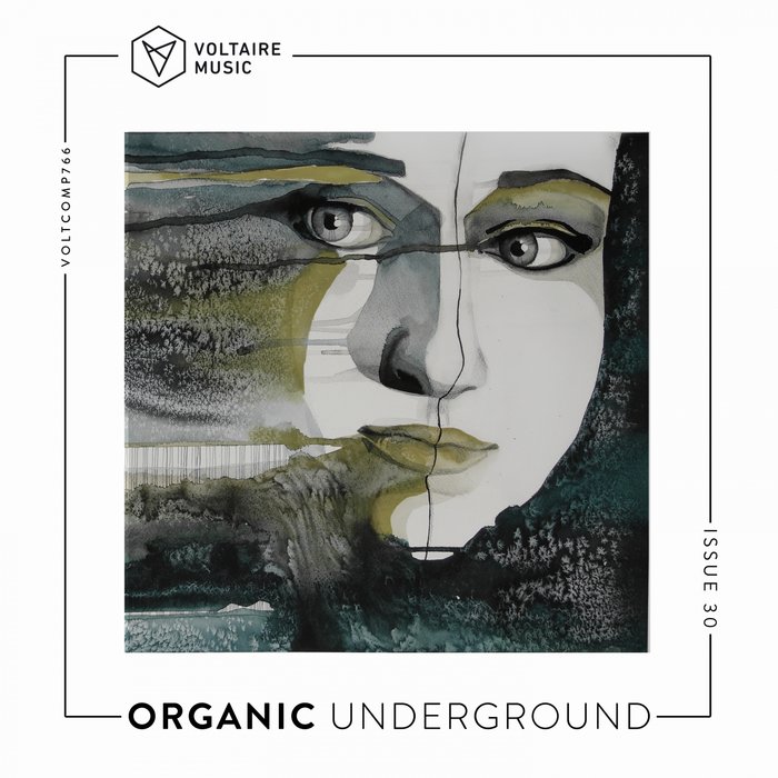 VA – Organic Underground Issue 30