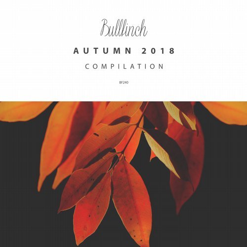 VA – Bullfinch Autumn 2018 Compilation
