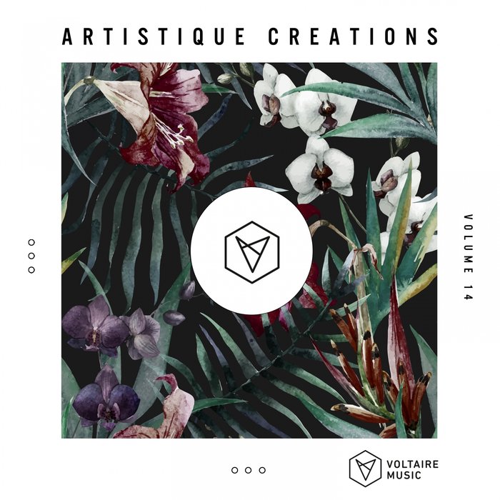 VA – Artistique Creations, Vol. 14